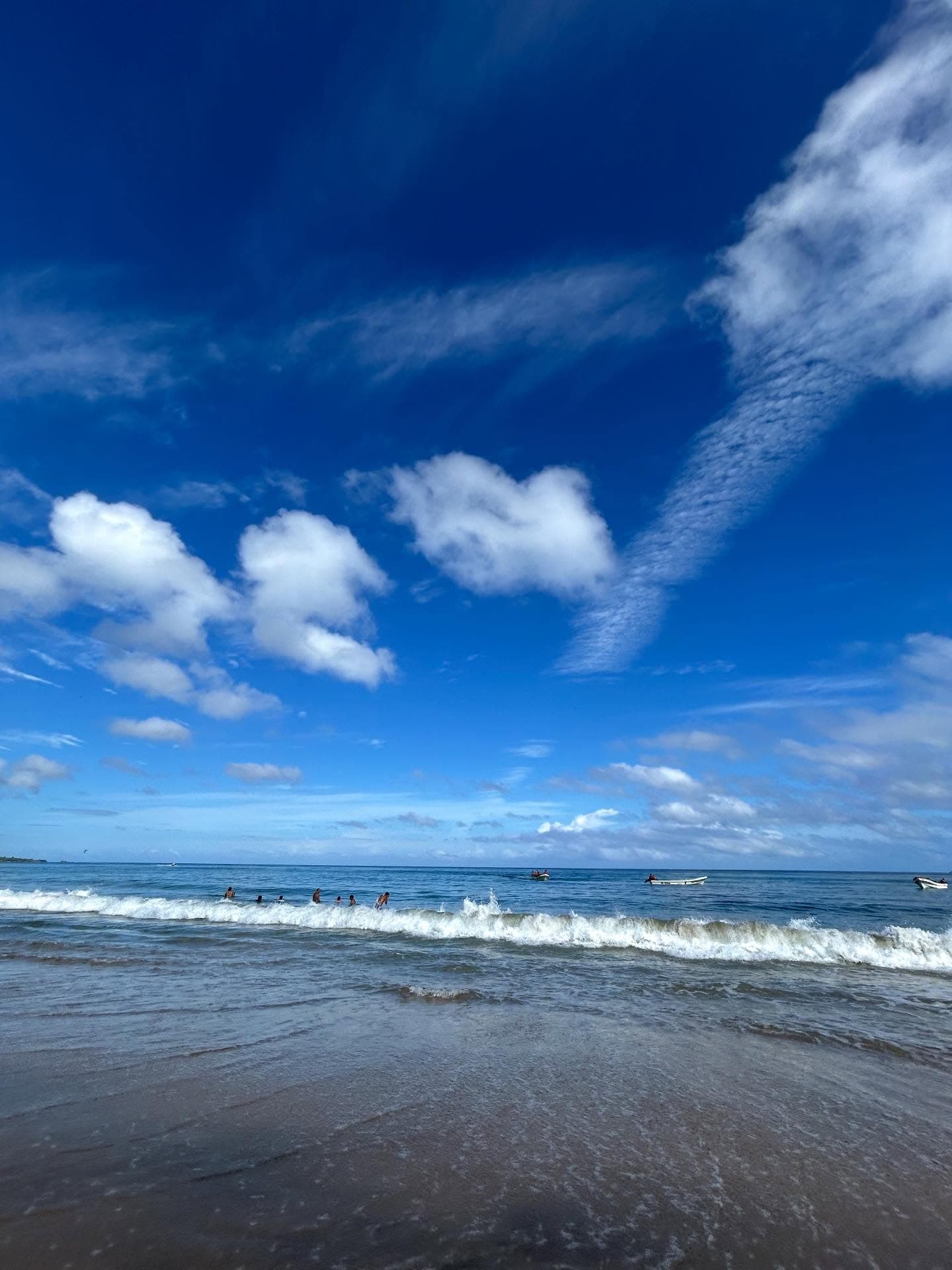 Guacamayas de Zamora